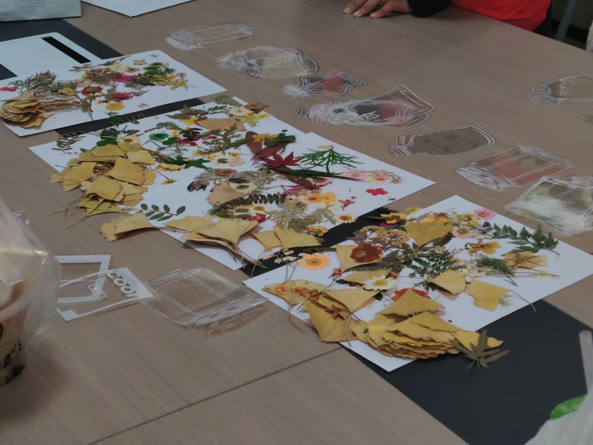 williamhill威廉希尔官网